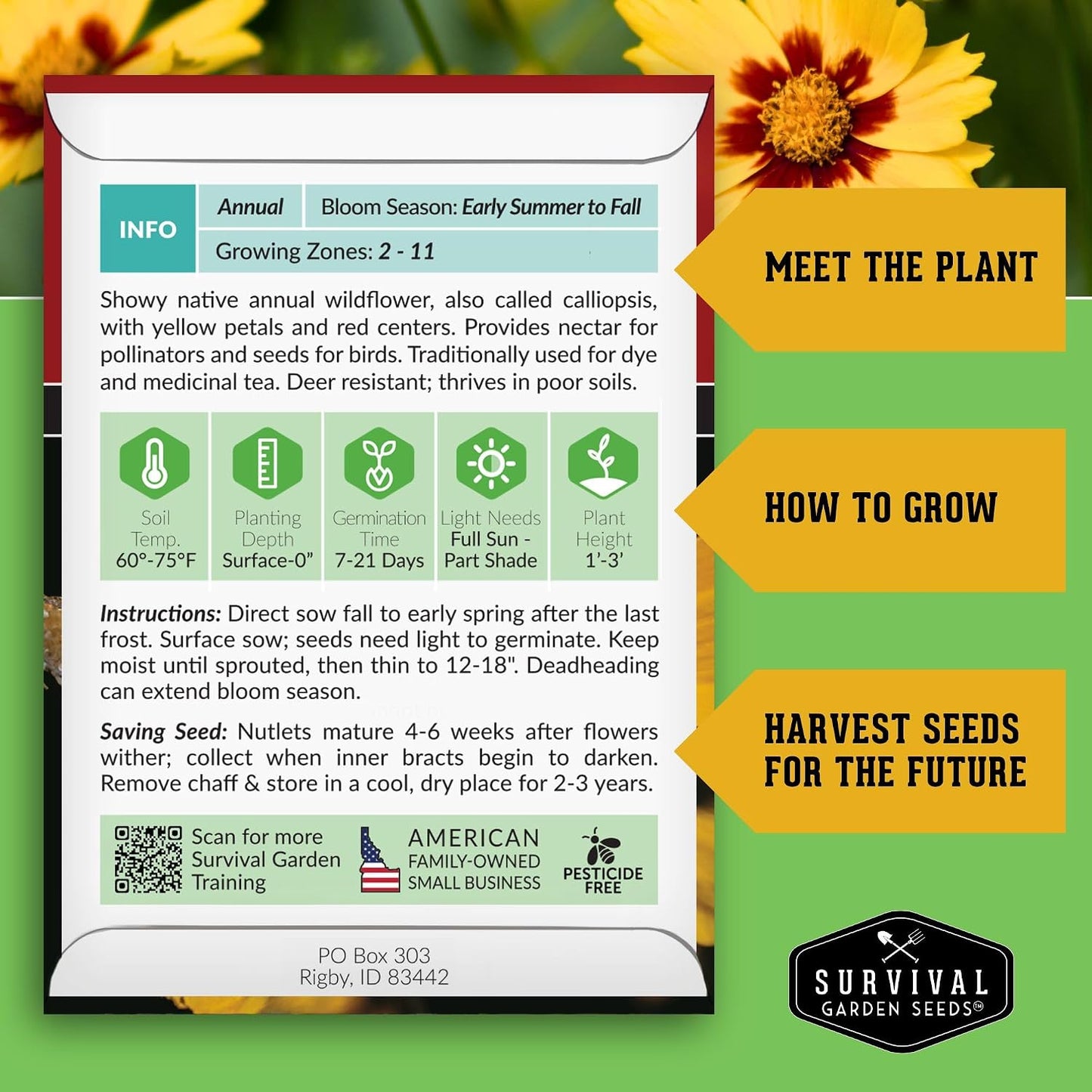 Semillas Coreopsis Plains para plantar 1 pack