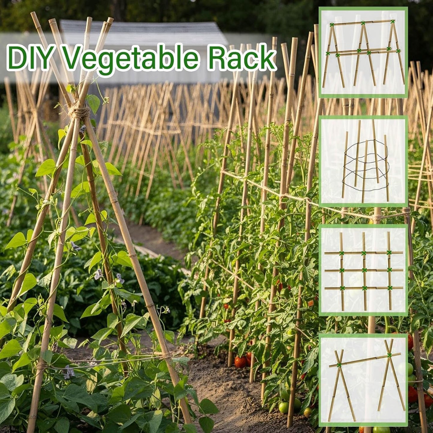 15 Pzas Postes Bambú Natural para Jardín Tomate Frijol