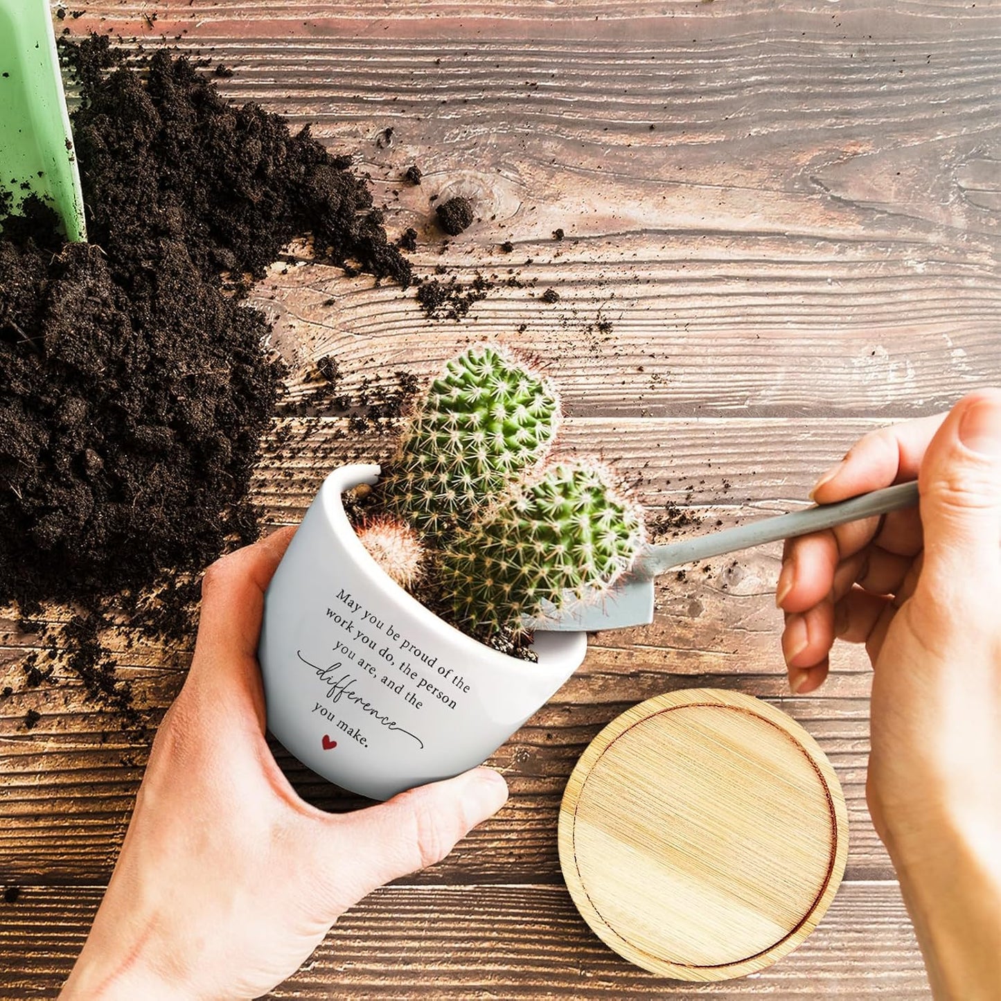 Maceta Graciosa para Cactus y Suculenta Regalo