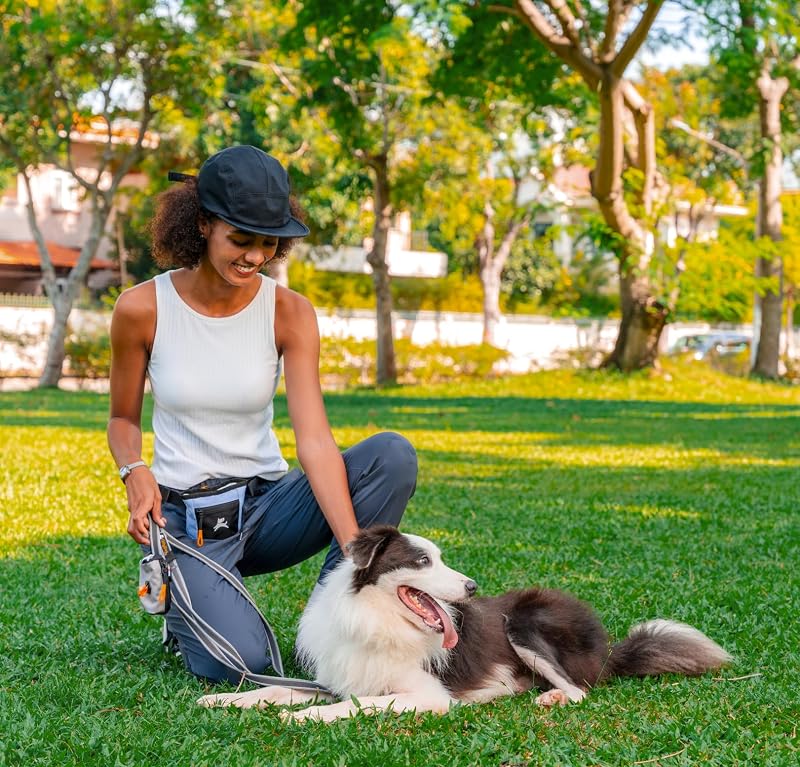 Bolsa golosinas perros clip cinturón cierre magnético entrenamiento