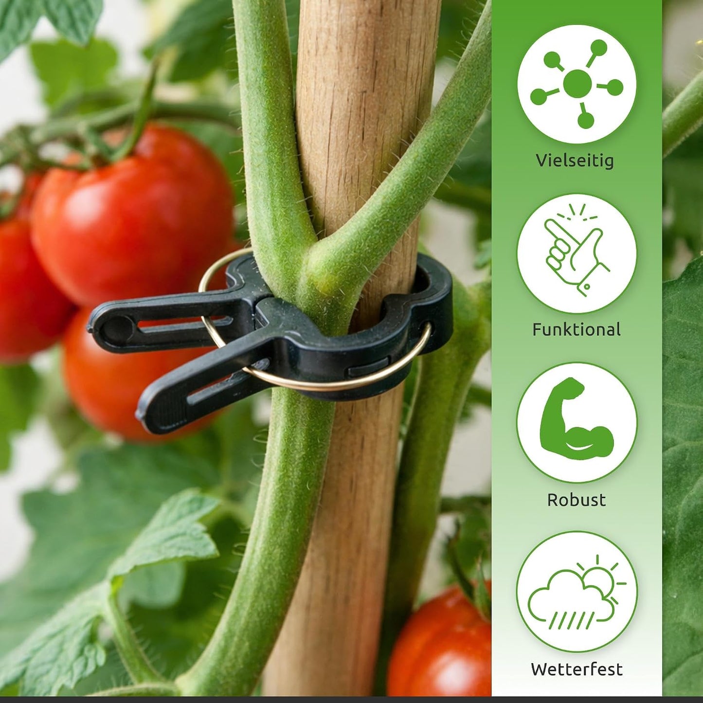 60 Clips para plantas enredaderas 1.57pulg reutilizables