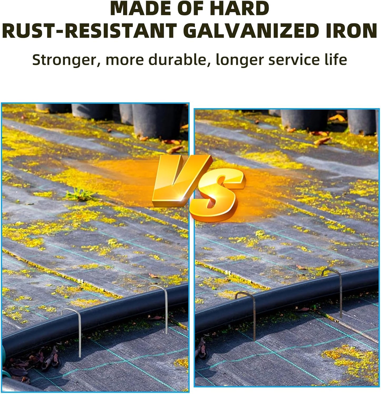 50 Grapas Acero Galvanizado 6pulg para Jardín y Decoración