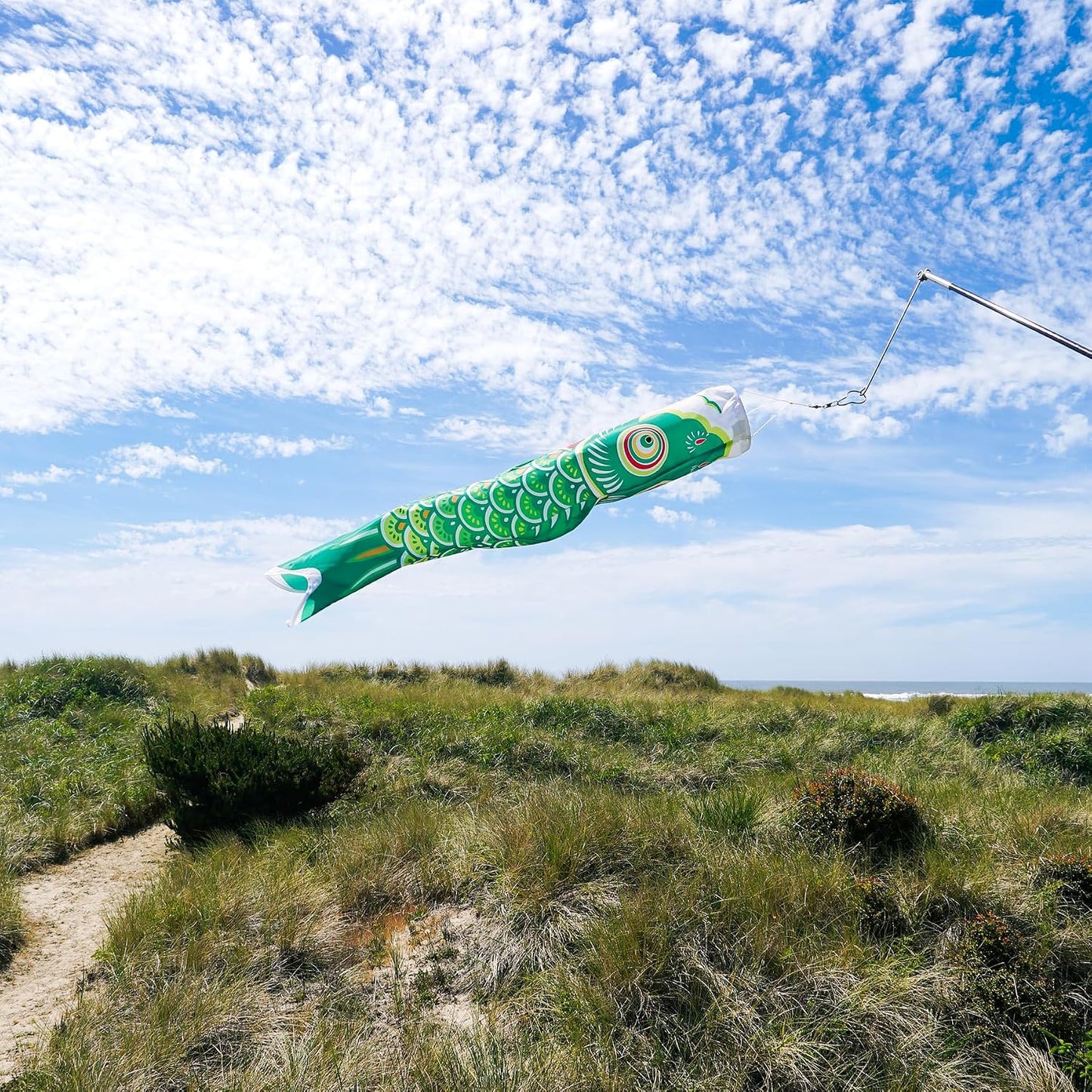 Manga de viento pez koi 36pulg verde