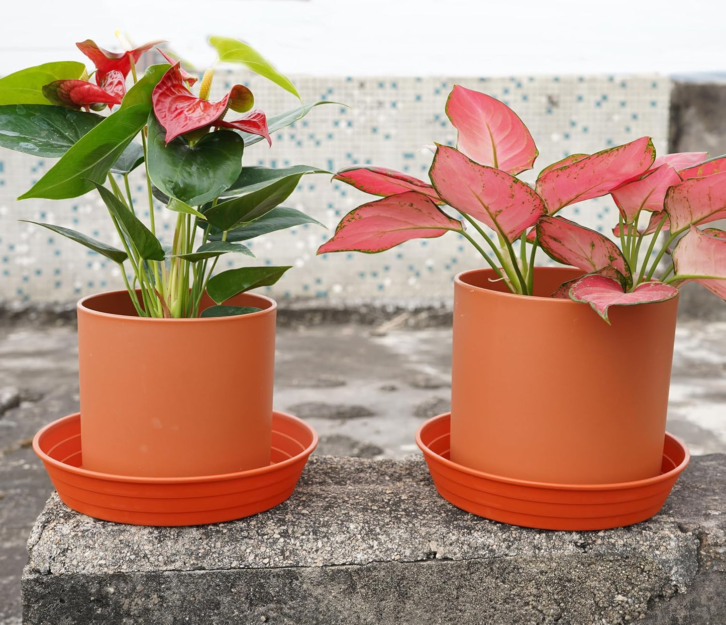 Platillo para plantas 14pulg set 4 bandejas drenaje profundo