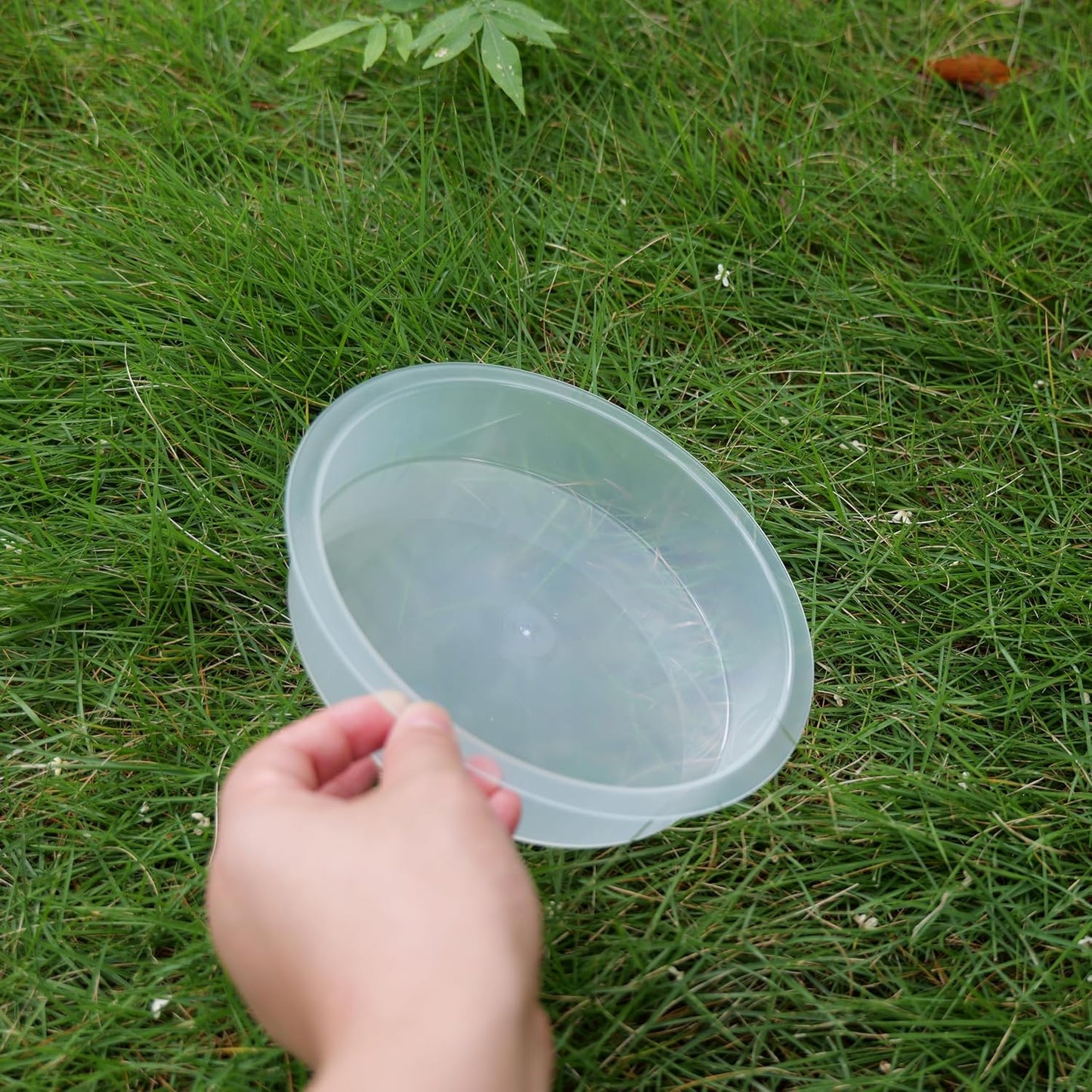 2 Pzas Comederos Pájaros Plástico Bandejas Alimentación Agua