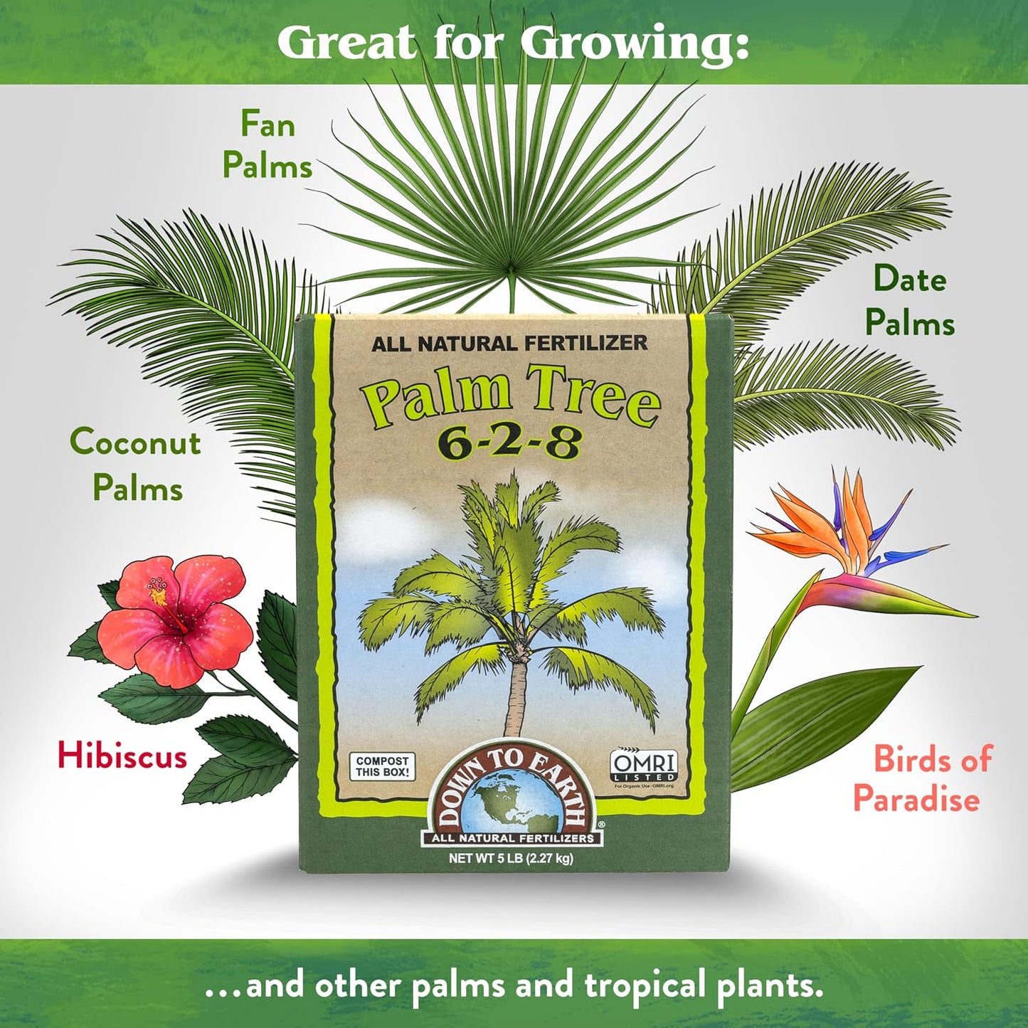 Alimento vegetal palmeras cícicas exóticas 5lb