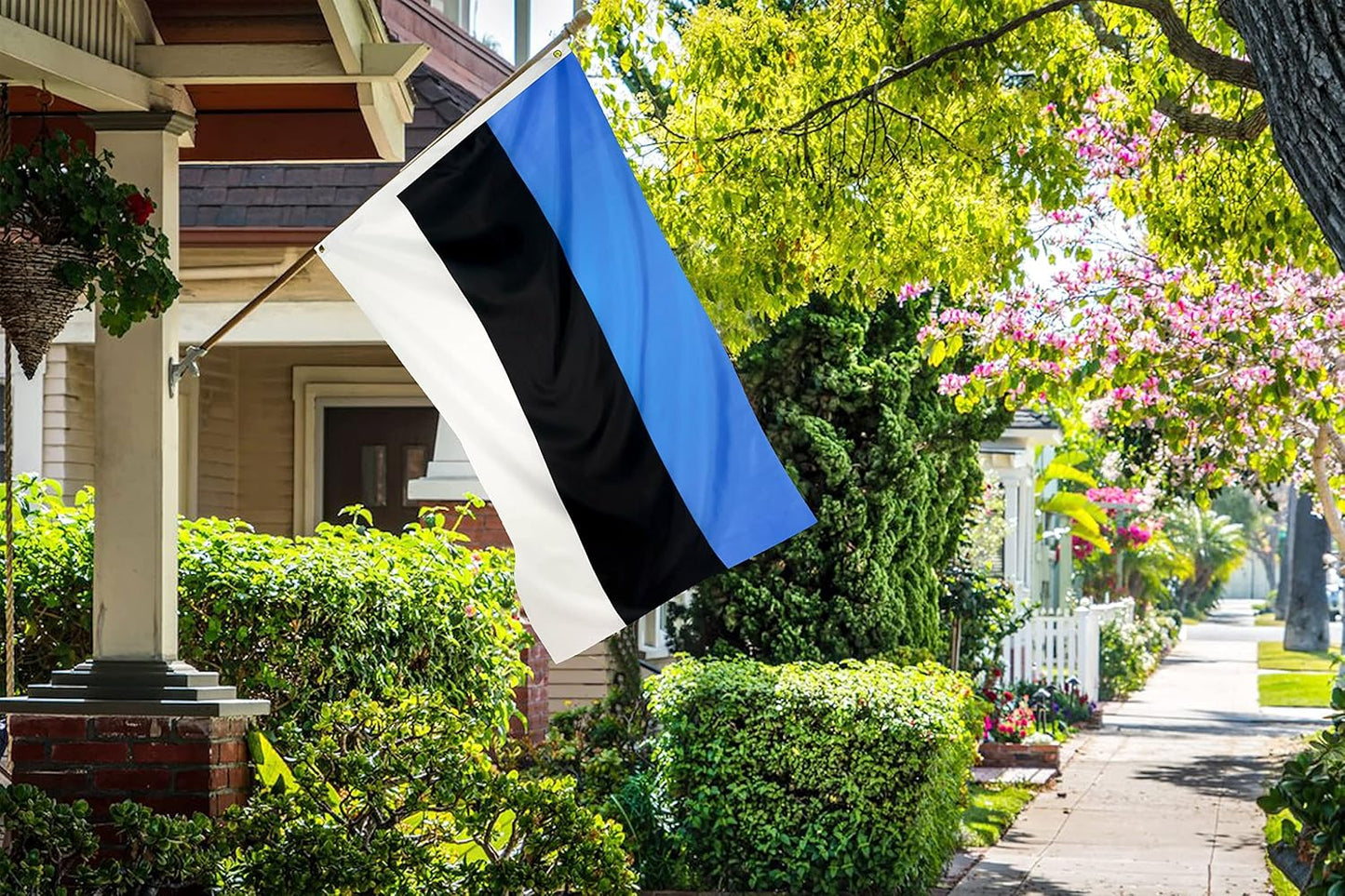 Bandera Estonia poliéster 3x5ft con ojales latón