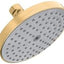 Cabezal ducha Raindance 5" bronce cepillado