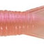 Insecto para Captura de Larvas en Pan y Candy