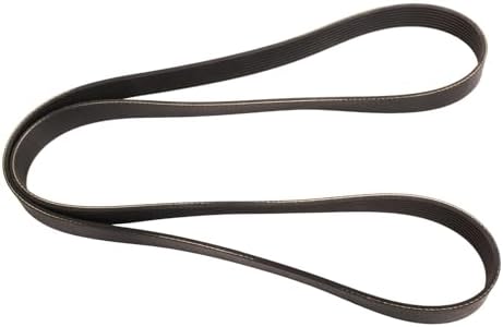 Correa multiV 8 varillas 94.8"
