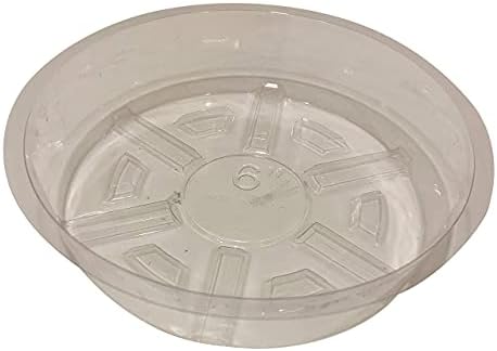 Platillos plástico transparente para bandejas goteo 10 pzas