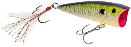 Señuelo Pop-R Topwater con plumas