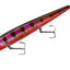 Señuelo Rogue Minnow Jerkbait Acción Errática