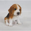 Figura cachorro Beagle sentado 6pulg marrón y blanco