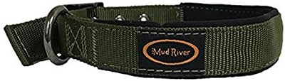 Collar para perro Swagger