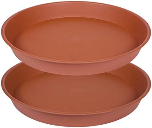 2 Pack Platillos Plantas 12" Recipiente Baño Pájaros