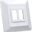Base interruptor doble placa frontal blanca