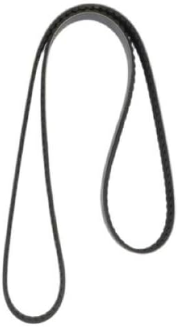 Correa multiv 8 varillas 53.5"