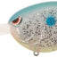 Cebo para Buceo Profundo Pack 1 con Aromas Atractivos