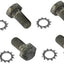 Tornillos placa flexible set 6