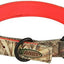 Collar perro resistente agua hebilla rápida