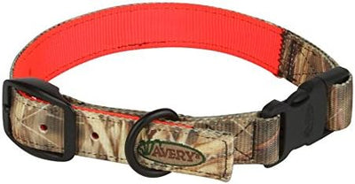 Collar perro resistente agua hebilla rápida