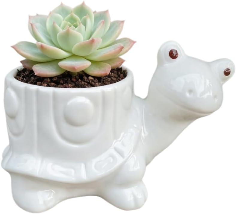 Maceta cerámica tortuga drenaje cactus decoración hogar blanco