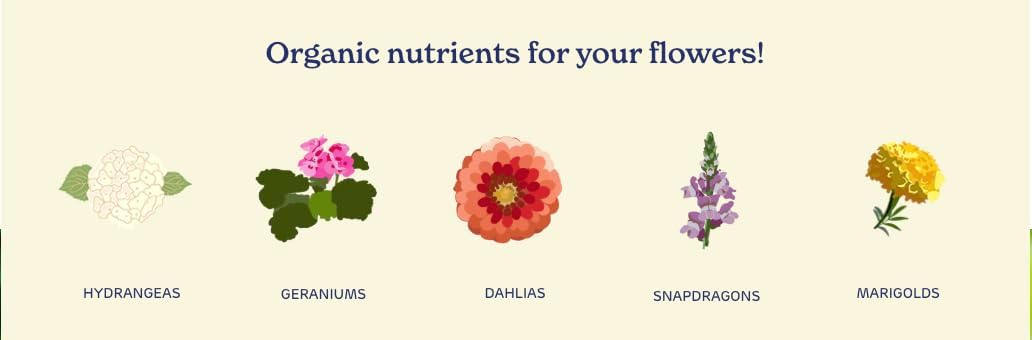 Fertilizante orgánico para brotes y floración 946ml 6
