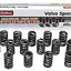 Set 16 Muelles para Válvula 5767 de Alta Resistencia
