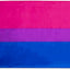 Bandera bisexual arcoíris 3x5ft