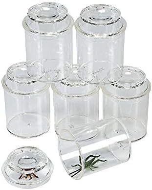 Tarros transparentes para insectos set ciencia niños