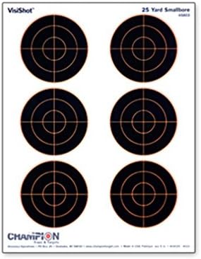 Pack 10 Objetivos VisiShot Bulls Target