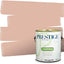 Pintura e imprimación en uno 1gal VS27