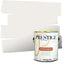 Pintura 2en1 exterior 1gal plana similar Sherwin Williams