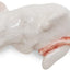 Figura ratón blanco cerámica para dormir