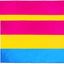 Bandera pansexual 3x5ft 2 Pack
