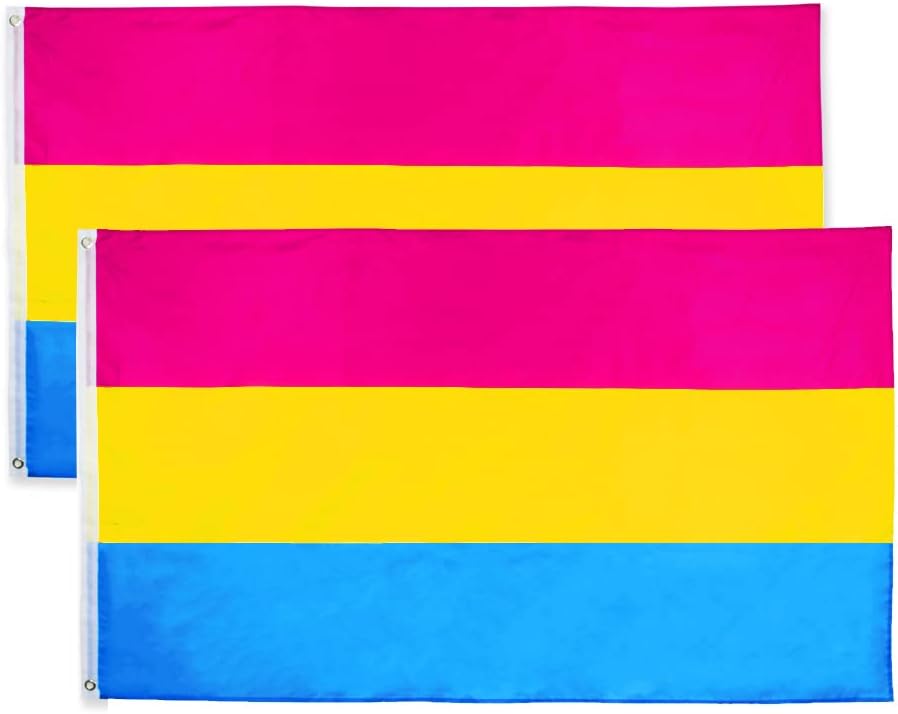 Bandera pansexual 3x5ft 2 Pack