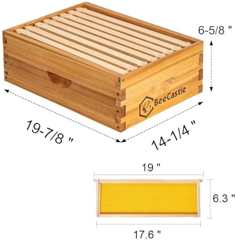 Caja 8 marcos miel mediana con hojas cera abejas