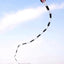 Cometa inflable serpiente 3D 180ft para adultos al aire