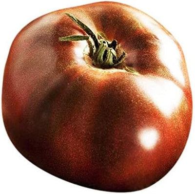 Semillas tomate Black Brandywine reliquia grande para cultivo