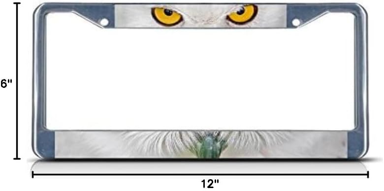 Cubierta placa matrícula diseño ojos búho