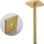 Cabezal ducha acero inox 12pulg bronce champán pared