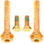 Pernos pinza freno disco profesional set 2