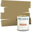 Pintura 2en1 para exterior y primera mano P300-D-230BM