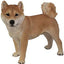 Estatua perro Shiba Inu