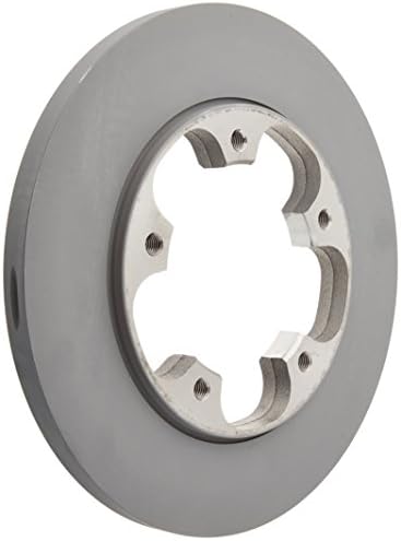 Conjunto de Rotor de Freno BRRF239 para Automóvil