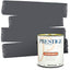 Pintura 2en1 para exterior y primera mano P300-D-1609BM