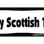 Hueso magnético para auto I Love My Scottish Terrier 2x7pulg