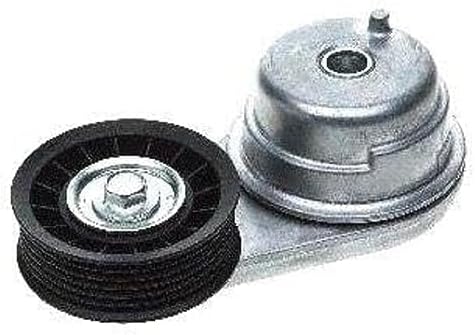 Tensor correa 38416