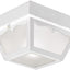 Lámpara techo 2 luces vidrio esmerilado blanco